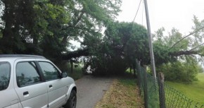 13315750_1109823999080309_156991723098854266_n[1]