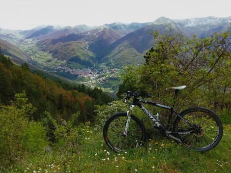 13322033_610060155834067_3320167570910180692_n