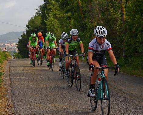 13321780_1138389689557253_4985551009542575038_n