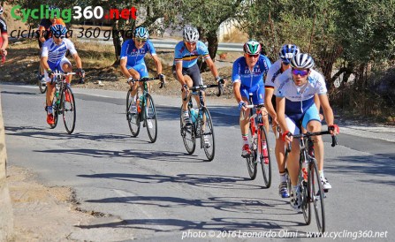 organizzazione_3-bis2-copy
