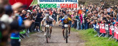 585a2c87-a074-403f-8feb-6e56950249f5_medium_p