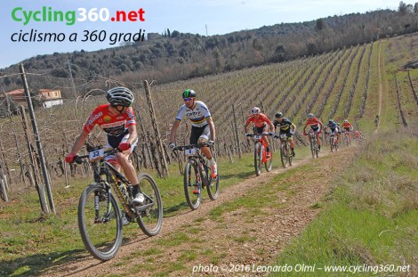 DSC_4138 bis copy.jpg