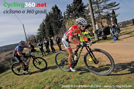 DSC_4201 bis copy.jpg