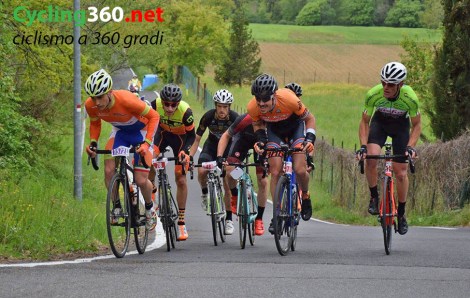 Metafonti_53 bis copy