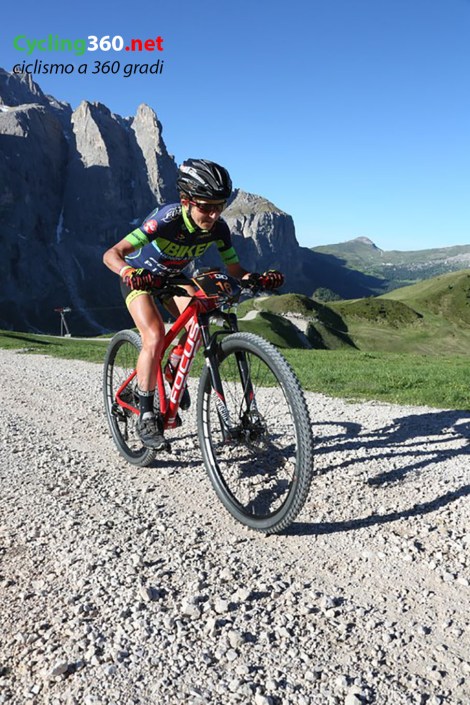 image_large[1]_2 copy