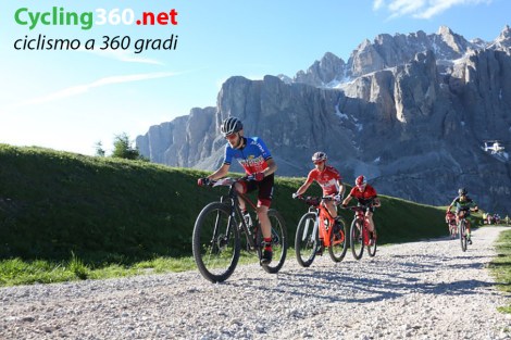 image_large[1]_4 copy