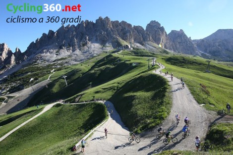 image_large[1]_6 copy