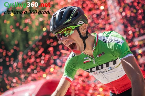 image_large[3]_15 copy