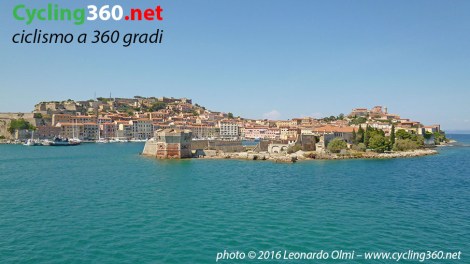 P1110810 bis copy.jpg